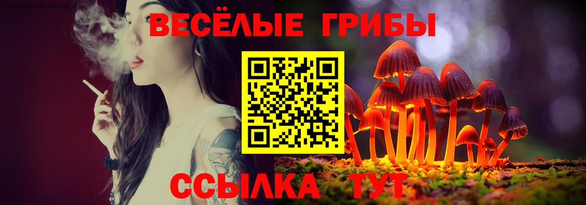 Ртищево  Галлюциногенные грибы прущие грибы  Вход с VPN 