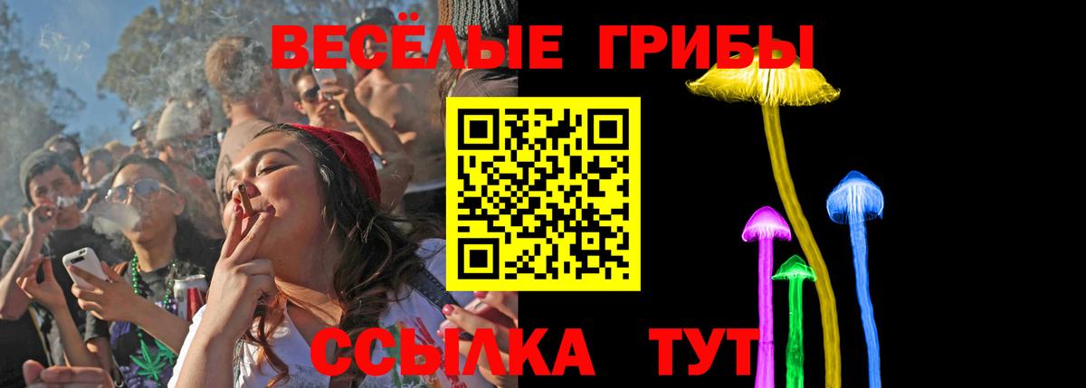 Галлюциногенные грибы мухоморы Ртищево
